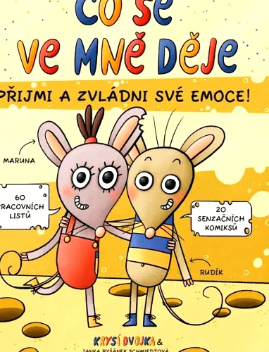 Co se ve mně děje přijmi a zvládni své emoce!