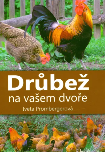Drůbež na vašem dvoře