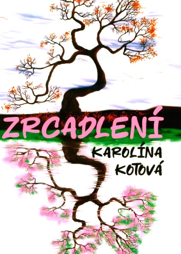 Zrcadlení