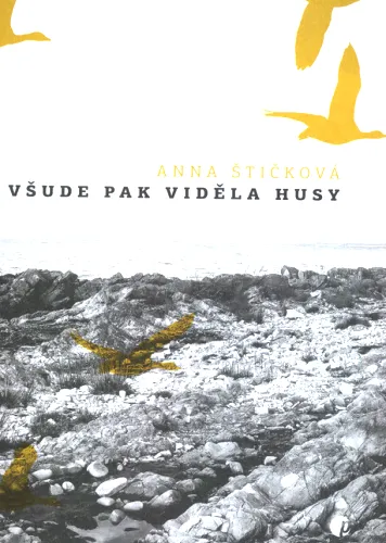 Všude pak viděla husy