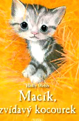 Macík, zvídavý kocourek