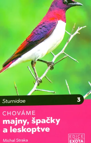 Chováme majny, špačky a leskoptve