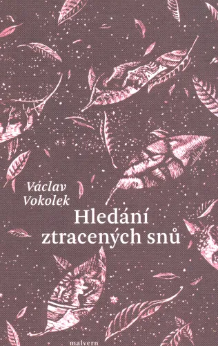 Hledání ztracených snů