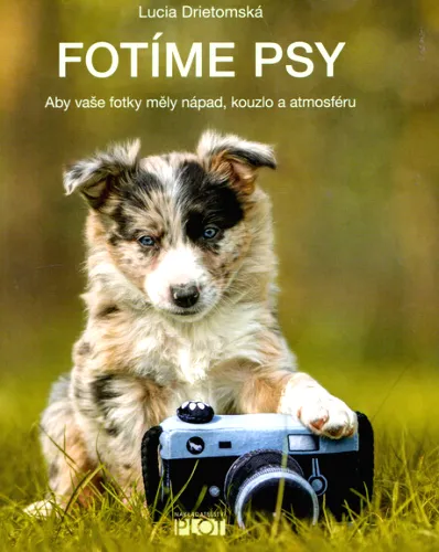 Fotíme psy aby vaše fotky měly nápad, kouzlo a atmosféru