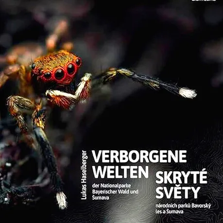 Verborgene Welten der Nationalparke Bayerischer Wald und Šumava Skryté světy národních parků Bavorský les a Šumava
