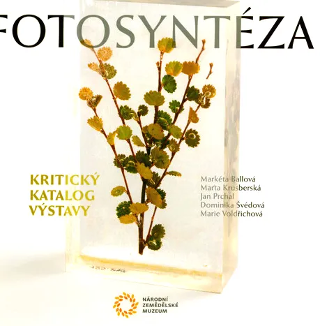 Fotosyntéza kritický katalog výstavy