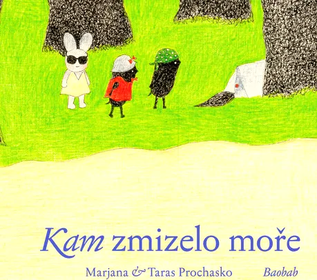 Kam zmizelo moře