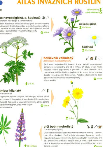 Atlas invazních rostlin