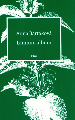 Lamium album