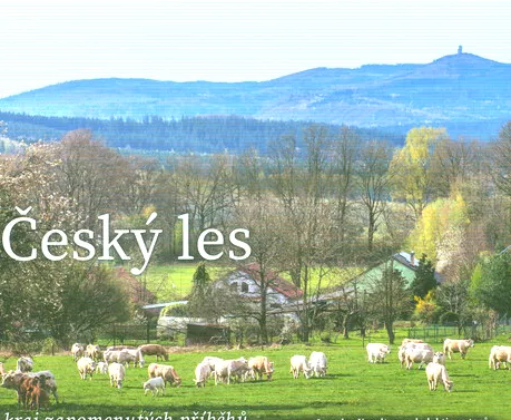 Český les kraj zapomenutých příběhů