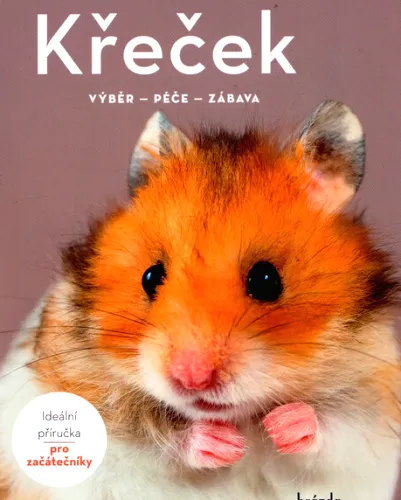 Křeček výběr, péče, zábava