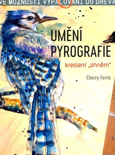 Umění pyrografie kreslení "ohněm"