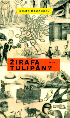 Žirafa nebo tulipán?
