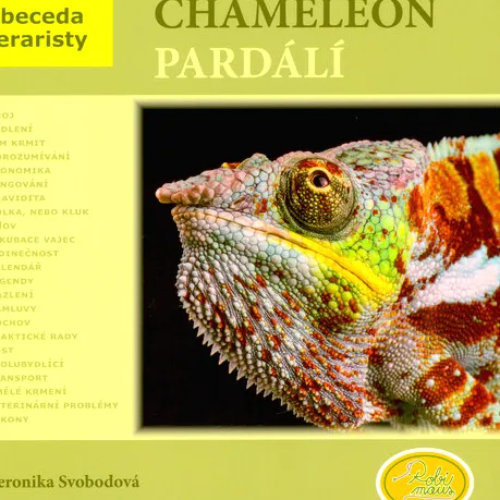 Chameleon pardálí