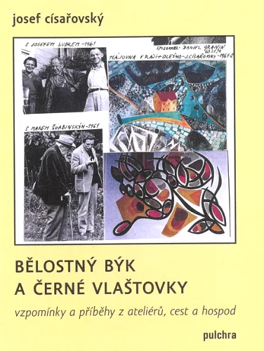 Bělostný býk a černé vlaštovky vzpomínky a příběhy z ateliérů, cest a hospod